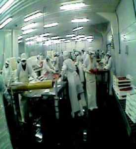 industria salmon (30)  ALIMENTOS MERCADO